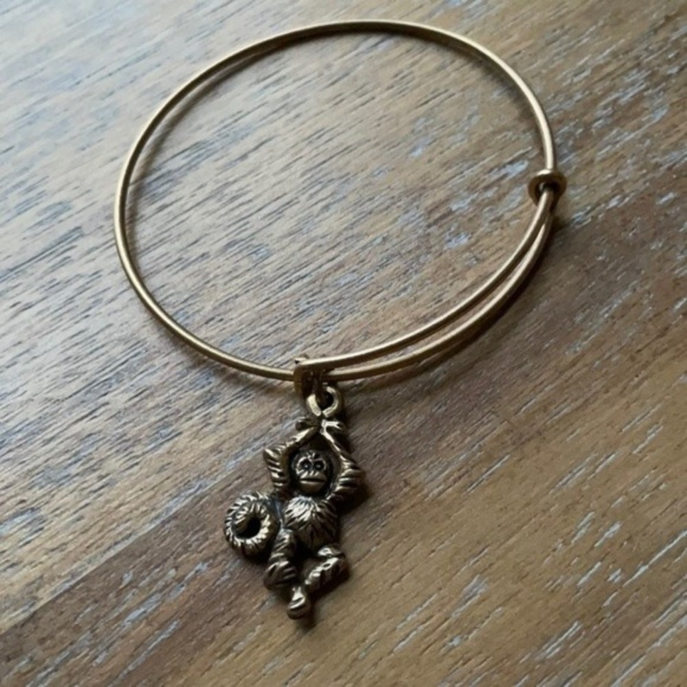 Alex and Ani Monkey Charm Bracelet 🐒